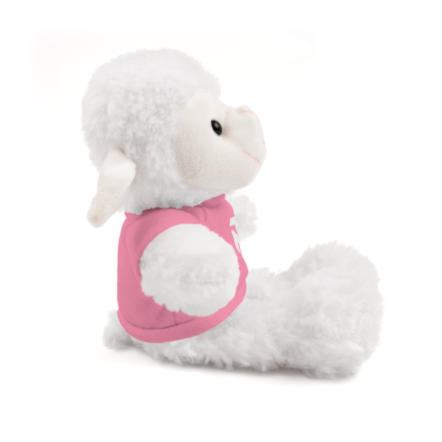 Pink Tee Teddy Bear Plush — Cute Stuffed Animal with Printed Shirt
