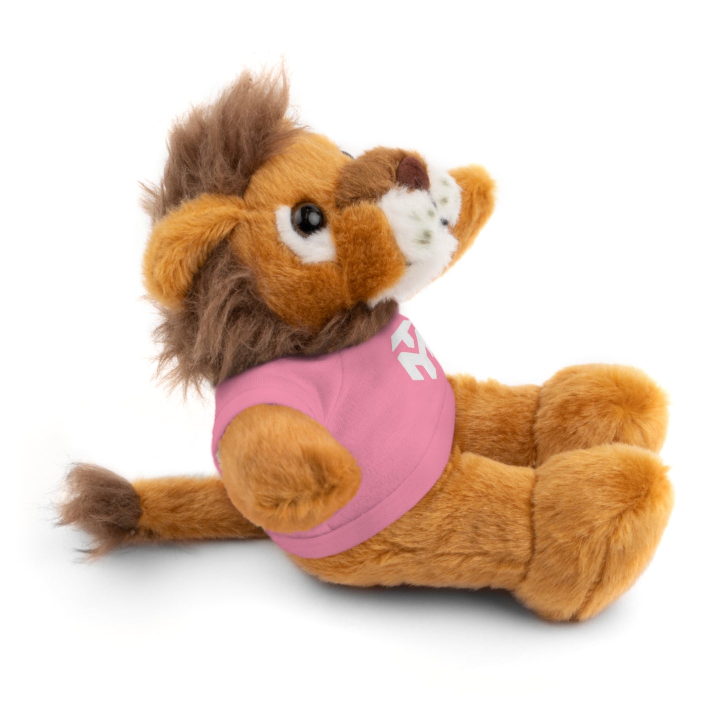 Pink Tee Teddy Bear Plush — Cute Stuffed Animal with Printed Shirt